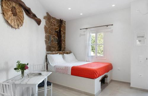 Politimis Studio N1 - Photo 15