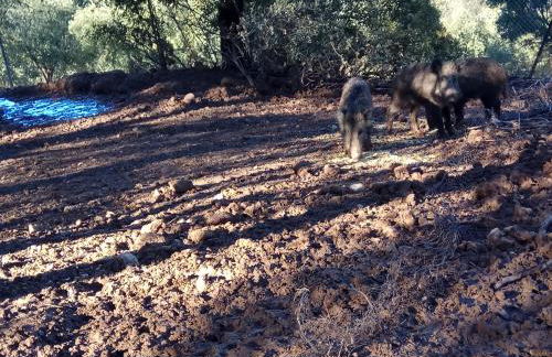 Casas Rurales La Loma Del Carrascal - Foto 6