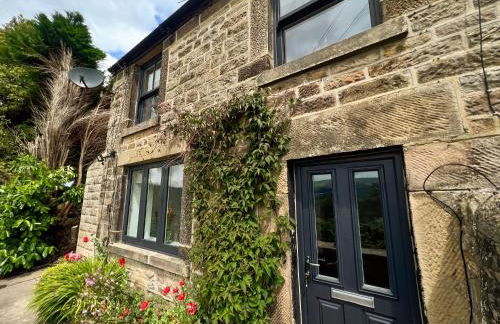 Abbeville - Photo 13