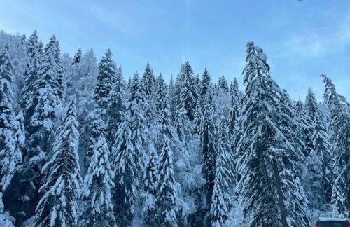 Appartement à Megève skis aux pieds - La CABOCHE - Photo 22