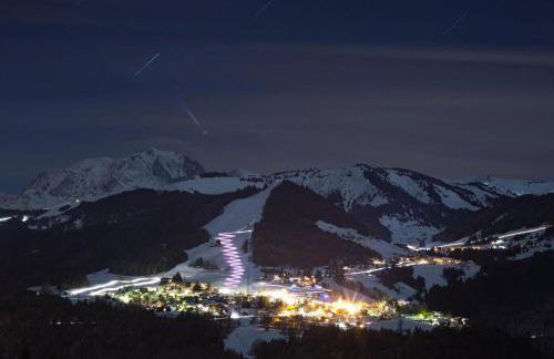 Chaleureux studio près des pistes avec parking et animaux acceptés - FR-1-505-6 - Foto 13