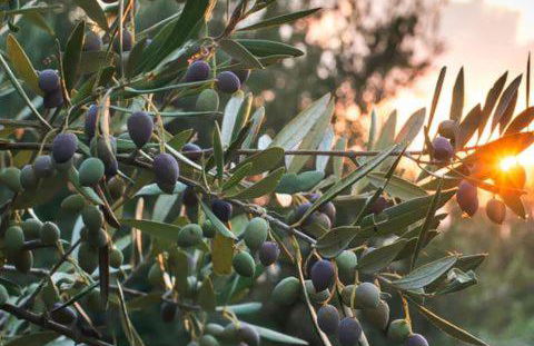 L'appart cocooning d'Entressen - Photo 12