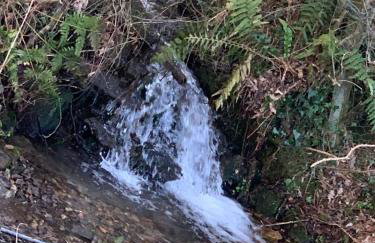 Brook lodge 2 - Photo 3