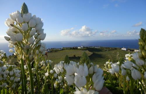 Casa do Norte - Santa Maria - Foto 1
