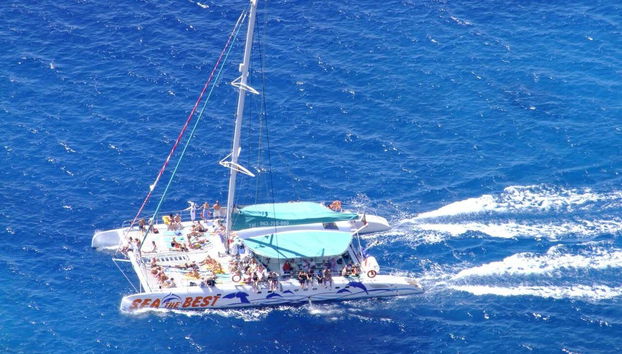 Balade en catamaran pour observer les cétacés