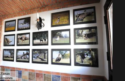 Apartamentos Rurales Monfragüe - Foto 11