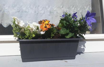 Übernachten in unseren Crutpracht Gästezimmern mit großem Bauernfrühstück, ab April 24 auch in der DUFFEL-SCHEUNE - Foto 20