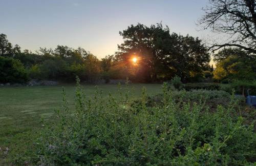 Mas du Chardon Bleu - Foto 32