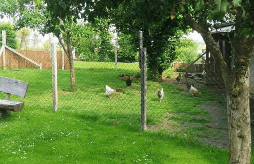 Ferienwohnung am Wasserfall - Foto 9