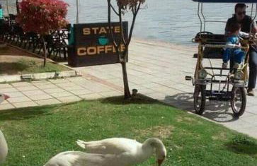 KASTORIA DENDROCHORI Retreat & Rest - Photo 20