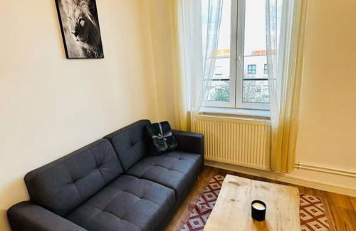 A2D Bel appartement, Nancy Thermal - Photo 10