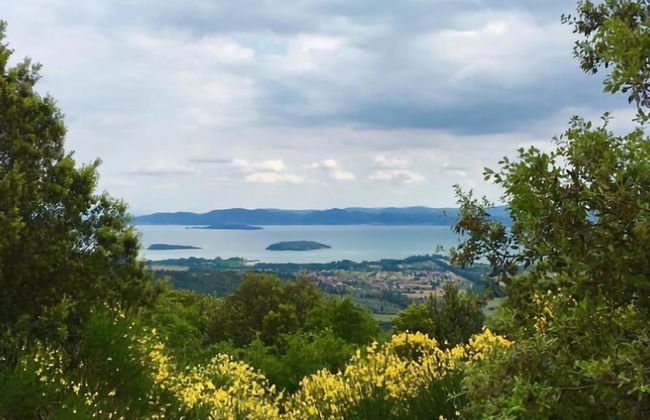Relaxing Chalet Near Trasimeno - Foto 31
