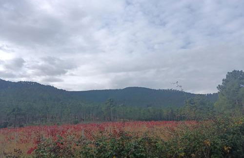 Alojamientos Rurales El Rincón del Pico - Foto 28