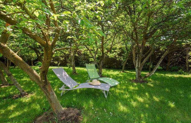 Ty Didrouz - Foto 24