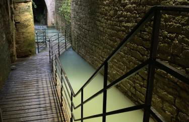 Les Tiercelines - Foto 17