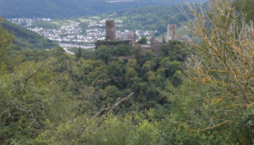 Alkener Elfenhaus mit kostenlosen Gäste Ticket - Foto 3