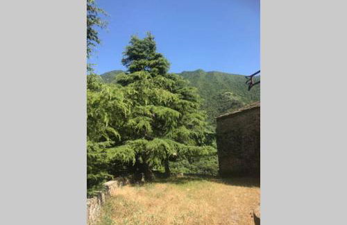 Alloggio U SPORTEGU DA E MONTI A GIAIA - Photo 46