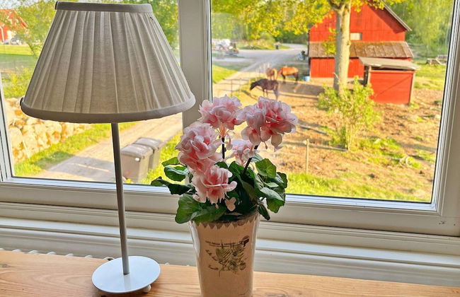 6 Person Holiday Home in Tingsryd-by Traum - Foto 23