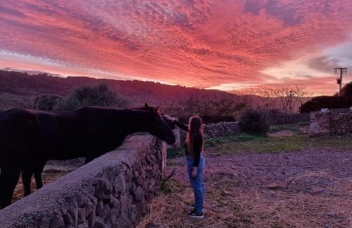Villa Launa en Port d' Addaia - Foto 32