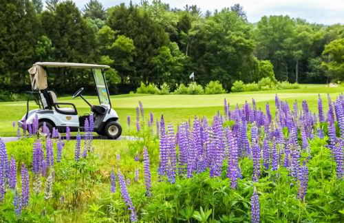 Sky Full Of Wishes - Foto 37