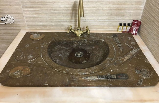 El Rancho - Photo 13