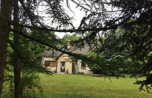 Domek Myśliwski Las Vegas - Foto 8