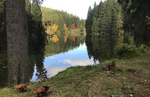 Henne Hahnenklee - Foto 24