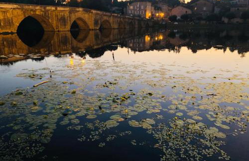 Gite Coccinelle in the medieval town of Confolens - Foto 41