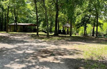 Casita with Swimming Pond & Sand Volleyball Access - Foto 15