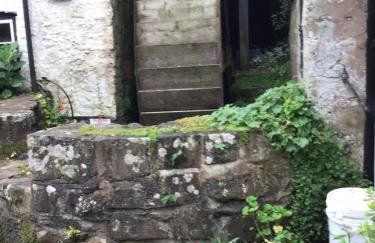 Peaceful Paradise - Photo 27