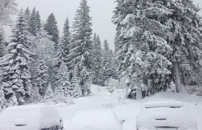 Villa Deja Jahorina - Foto 34