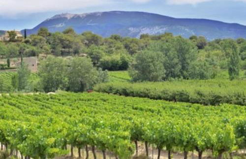 La Villa Sable en Provence - Foto 55