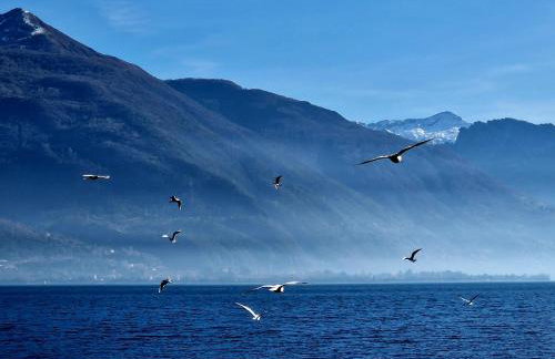 Vichi's nest - Foto 14