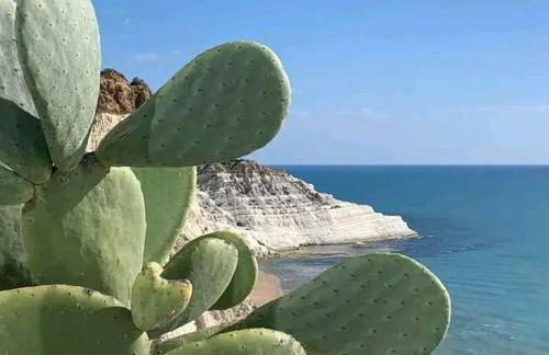 Attico sul Mare - Foto 20