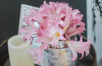 Casa Luís de Camões - Boutique & Literary House - Foto 25