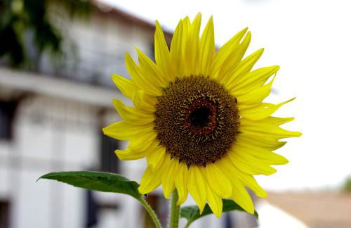 Dom na wodzie Mazury - Foto 36