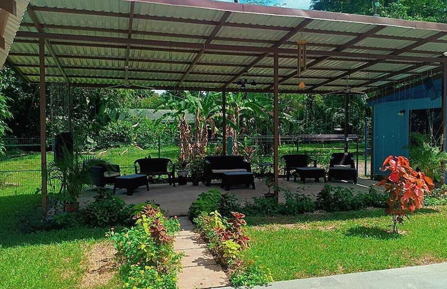 Caribbean Blue Morpho - Foto 29