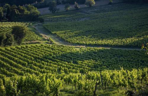 Camiran Escape: Wine & Calm - Foto 52