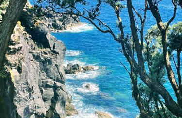 Welcome to Casa Fitz with Ocean Views and Air Conditioning - Photo 49