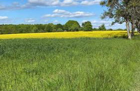 FERIENWOHNUNG ALL YOU NIED mit NIEDBLICK und TERRASSE - Foto 36