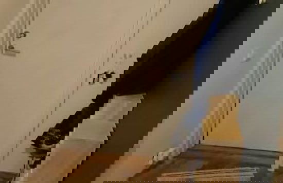 StayPlus Apt in Trendy Area Balcony - Foto 24