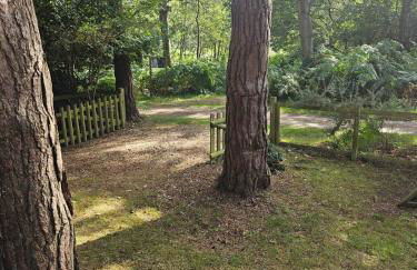 Fawn Lodge, Kelling Heath - Woodland Setting and Pets Welcome - Photo 18