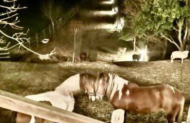 Vale da Silva Villas - Quinta - Foto 26