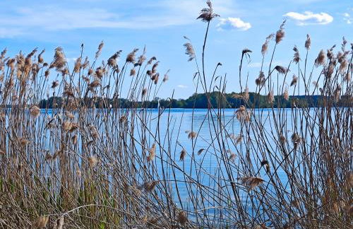 Ferienwohnung Bad Saarow "Am Märkischen Meer" - Foto 21