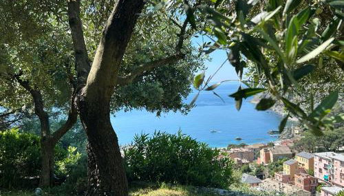 Villa Renata - amazing sea view garden terrrace - Foto 1, Other