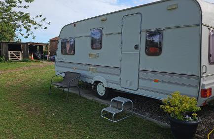 Tranquil Equestrian Escape - Sleeps 2 - Foto 17