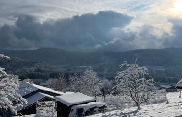 Refuge au coeur des Vosges - Foto 18