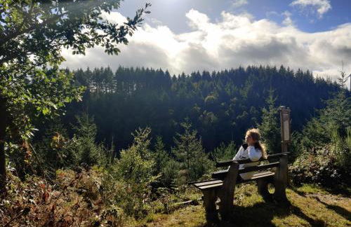 Am Apfelbaum, ein Ferienhaus zwischen Rhein und Mosel - Foto 57