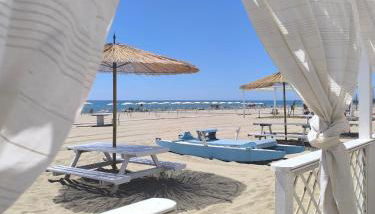 la farfalla blu sul mare - Foto 5