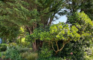 Leylands Annexe - Foto 23